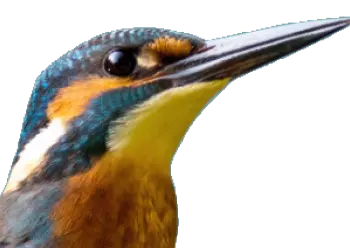 image to svg - Pixel 02.webp